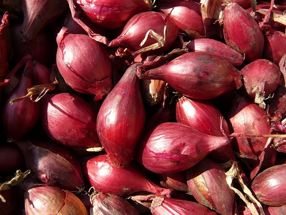 Réussir la cuisson des échalotes